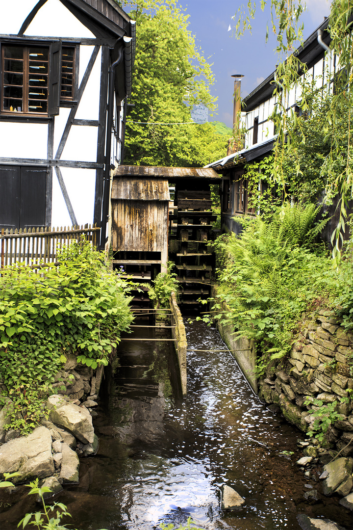 Schöne Heimat in Juni