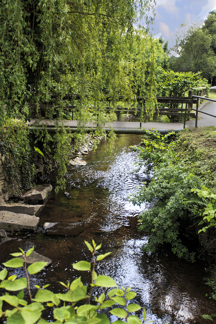 Schöne Heimat in Juni