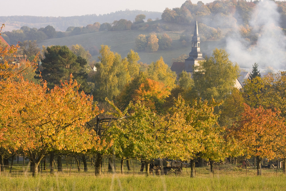 schöne Herbsttage sollten konserviert werden