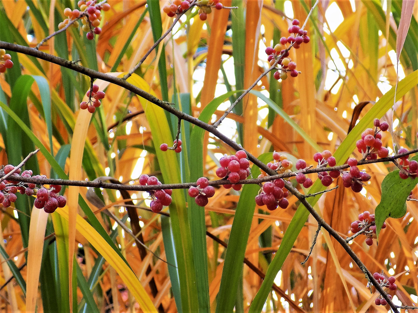 Schöne Herbstzeit