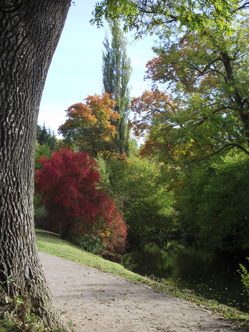 schöne Herbstzeit