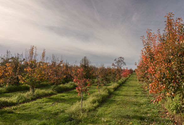 schöne Herbstzeit ...