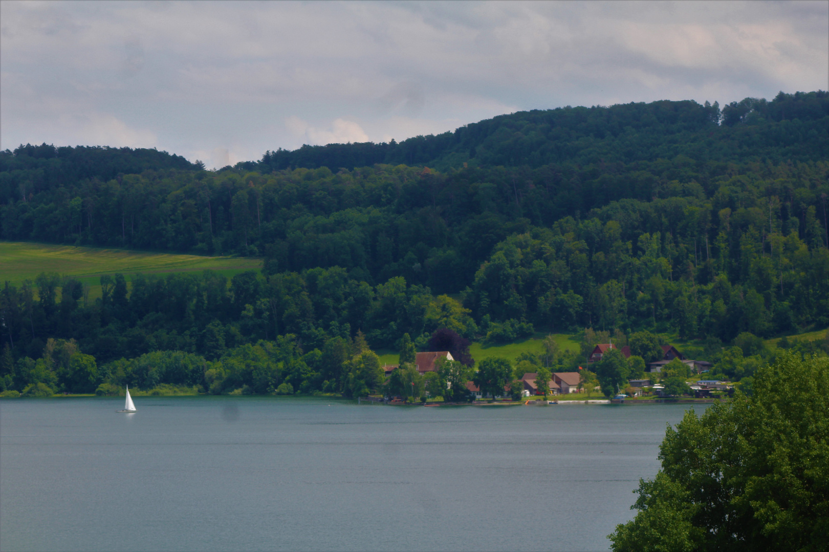 schöne  Höri voller Anmut einer Landschaft