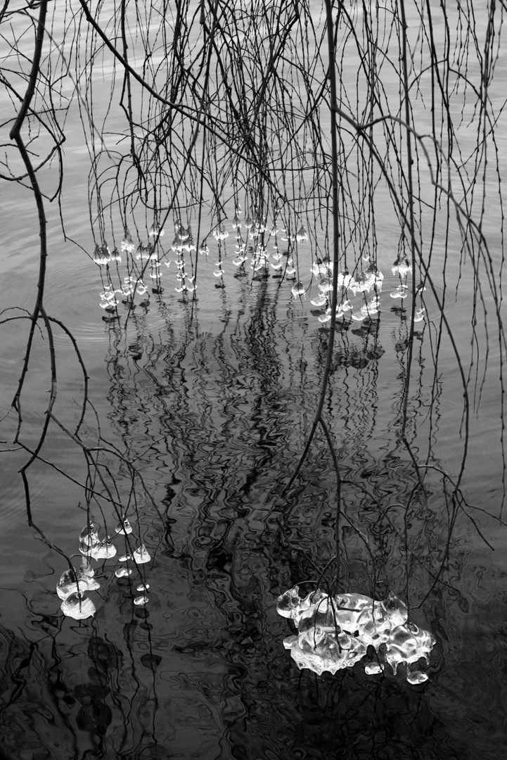 schöne Impressionen am Wegesrand