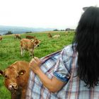 Schöne Kühe geben gemeinlich nicht viel Milch (SELFIE)