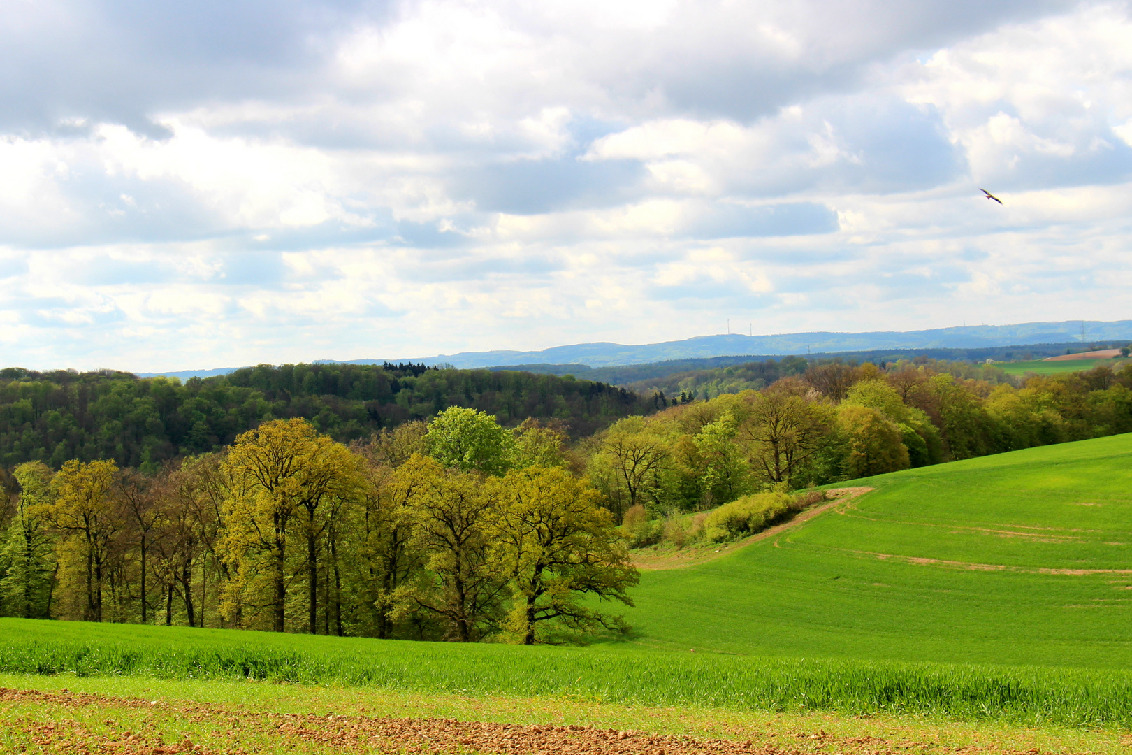 Schöne Landschaft