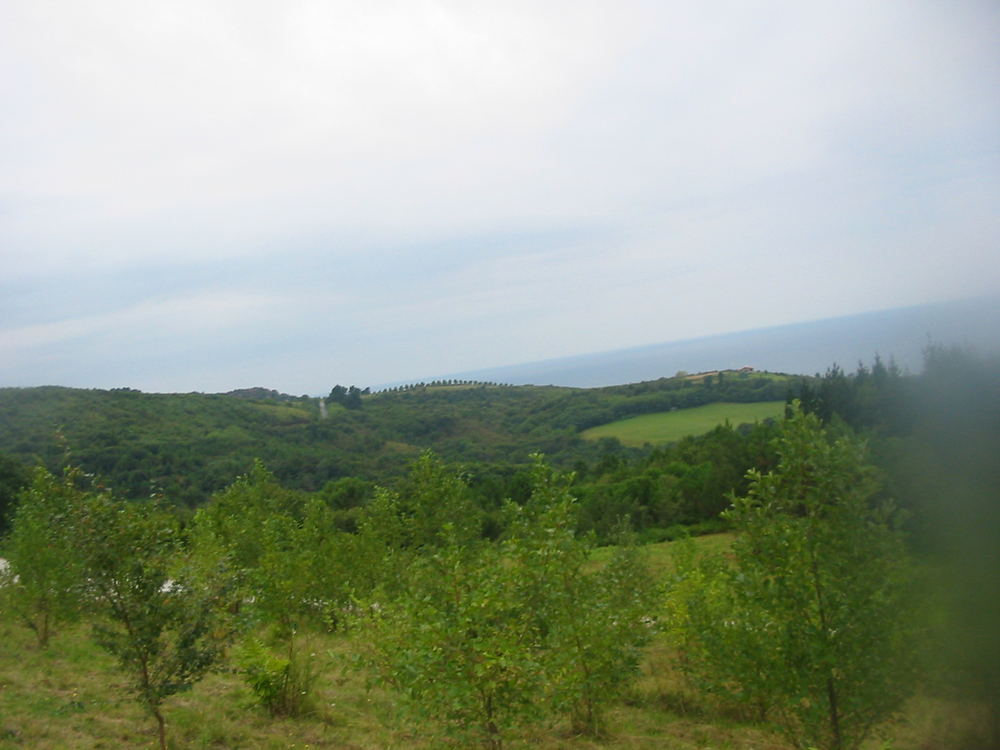 Schöne Landschaft