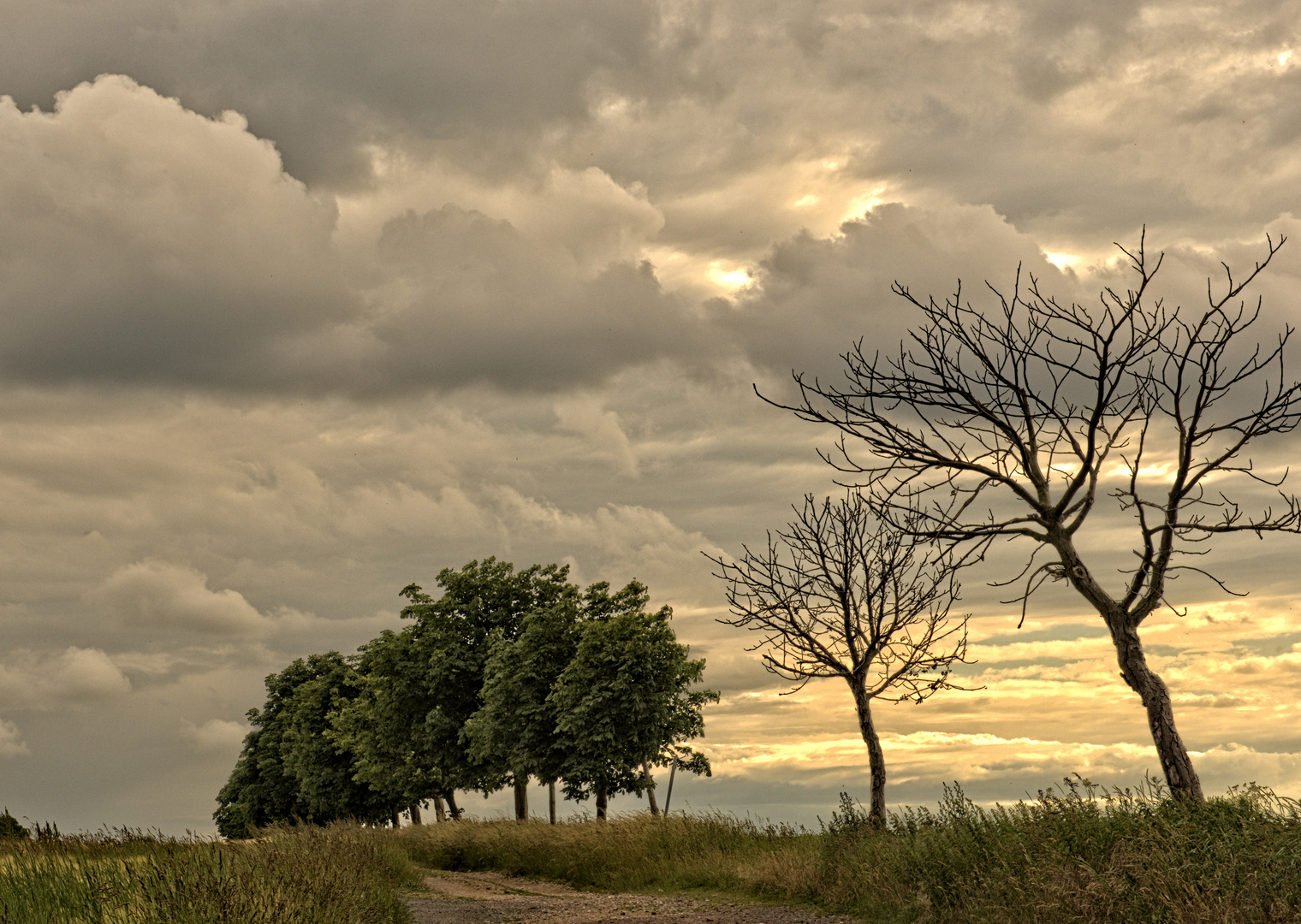 schöne Landschaft