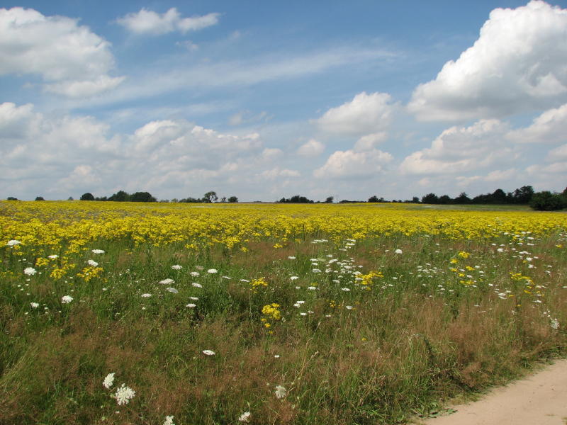 Schöne Landschaft