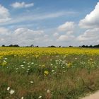 Schöne Landschaft