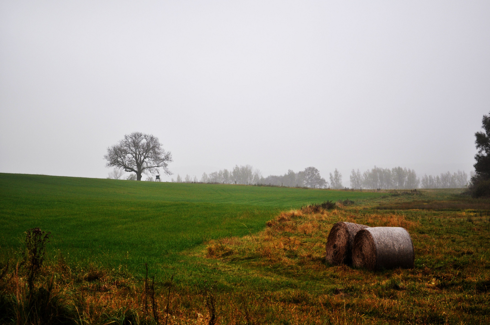 Schöne Landschaft am Morgen