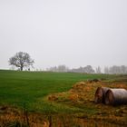 Schöne Landschaft am Morgen