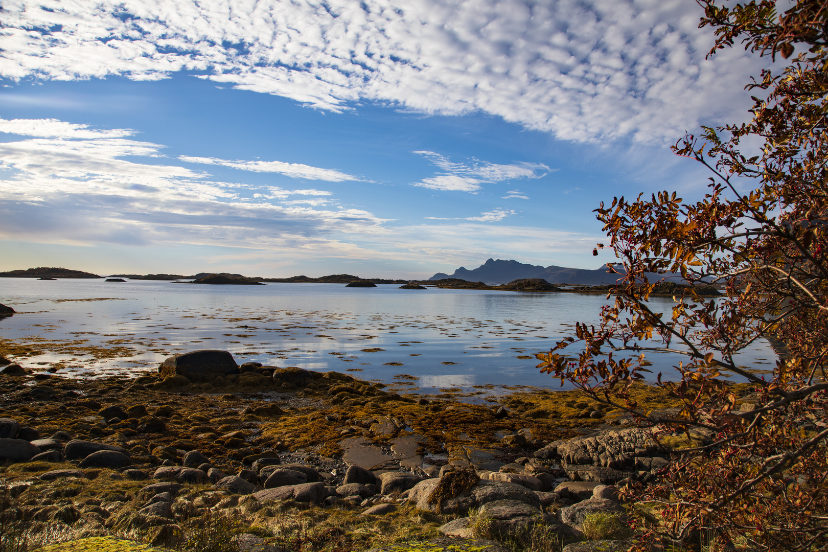 Schöne Landschaft auf dem Weg zu den Lofoten