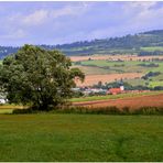 schöne Landschaft  (bonito paisaje alrededor de mi pueblo )