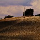 schöne Landschaft ,