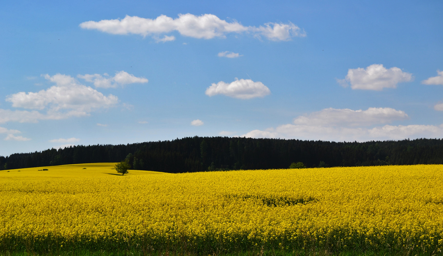 Schöne Landschaft