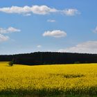 Schöne Landschaft