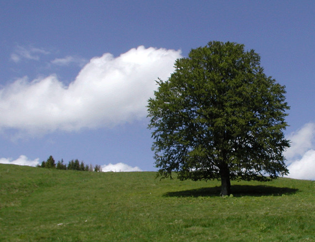 Schöne Landschaft