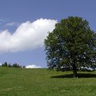 Schöne Landschaft