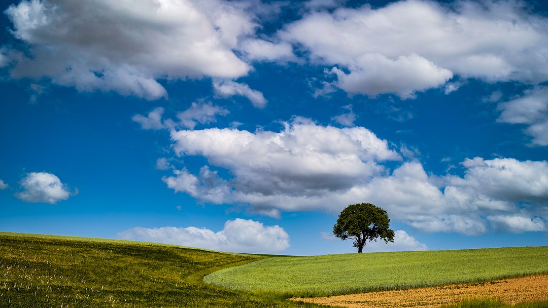 Schöne Landschaft (In der Nähe von Sulzfeld/Baden)