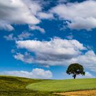 Schöne Landschaft (In der Nähe von Sulzfeld/Baden)