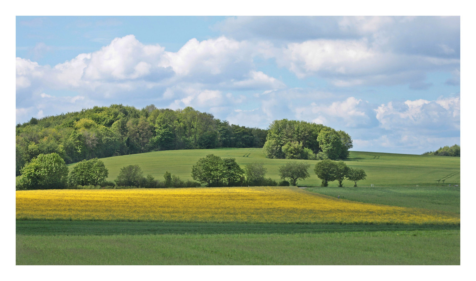 Schöne Landschaft in Grün/ Gelb