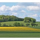 Schöne Landschaft in Grün/ Gelb