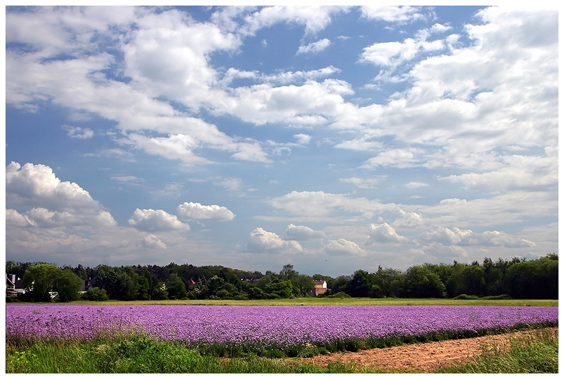 Schöne Landschaften