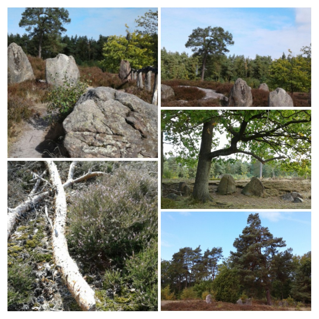 Schöne Lüneburger Heide