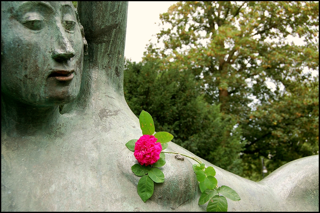 Schöne mit Rose