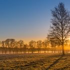 Schöne Morgenstimmung