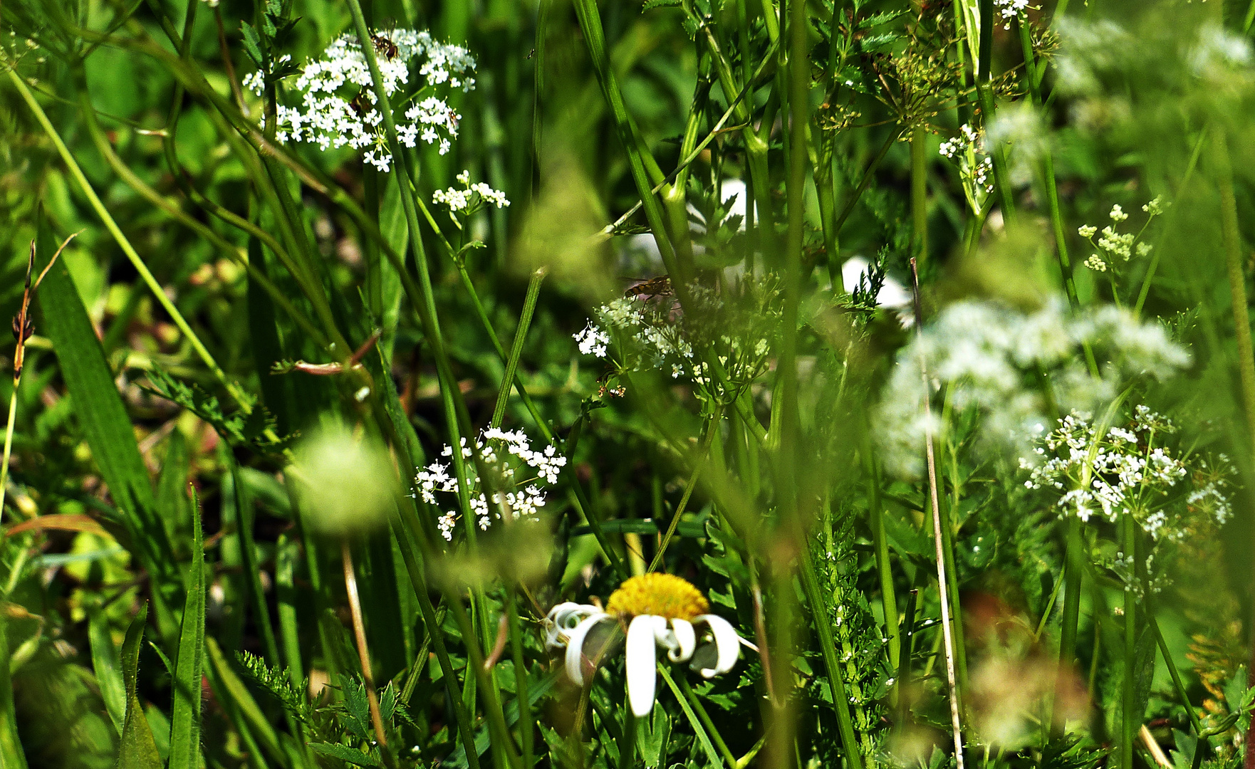 Schöne Natur 2