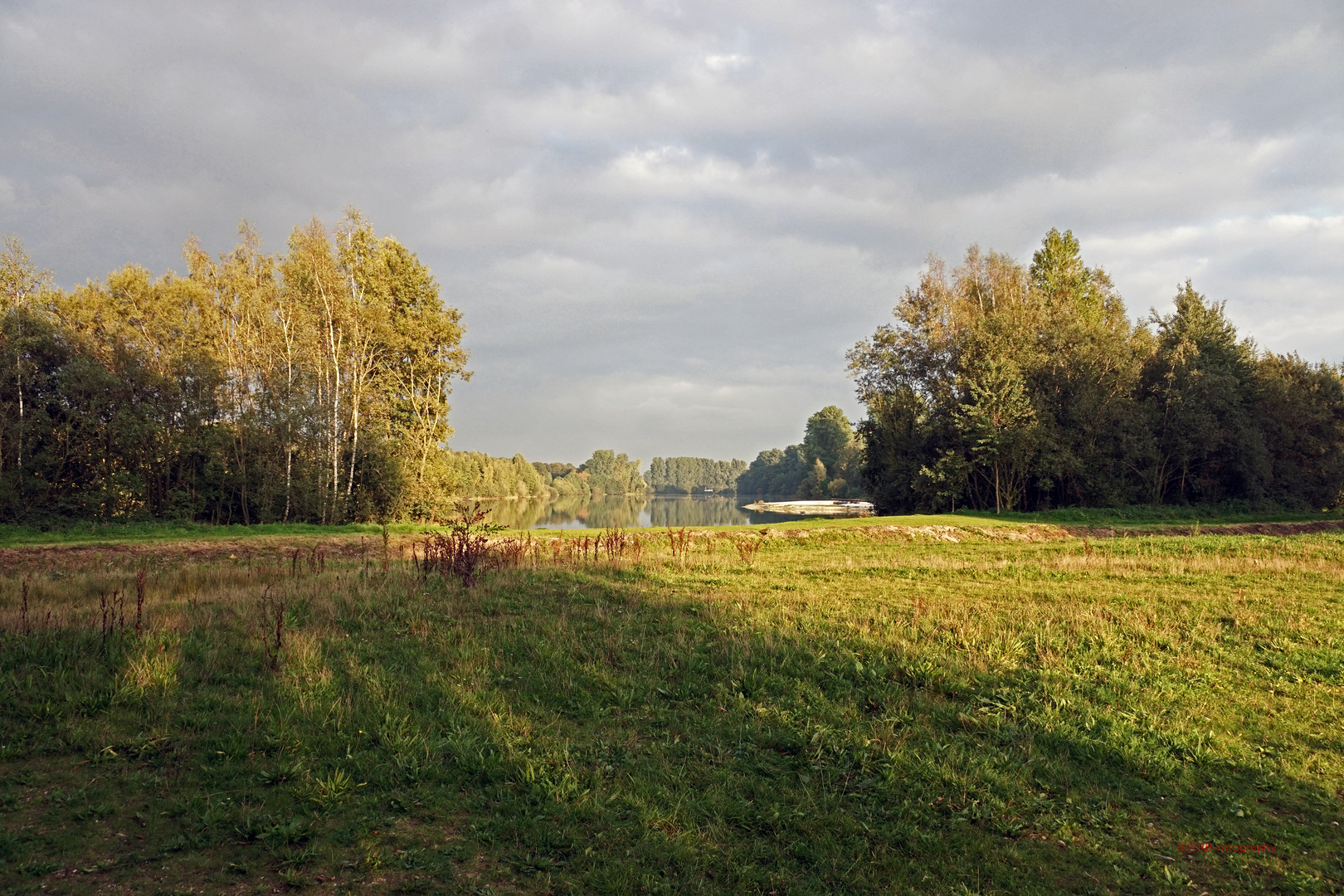 schöne Natur