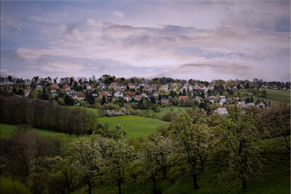 schöne Natur