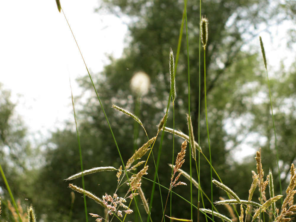 Schöne Natur