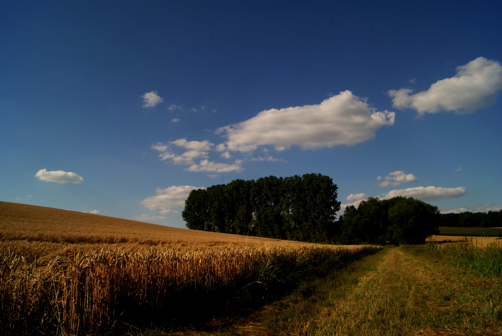 schöne natur :b