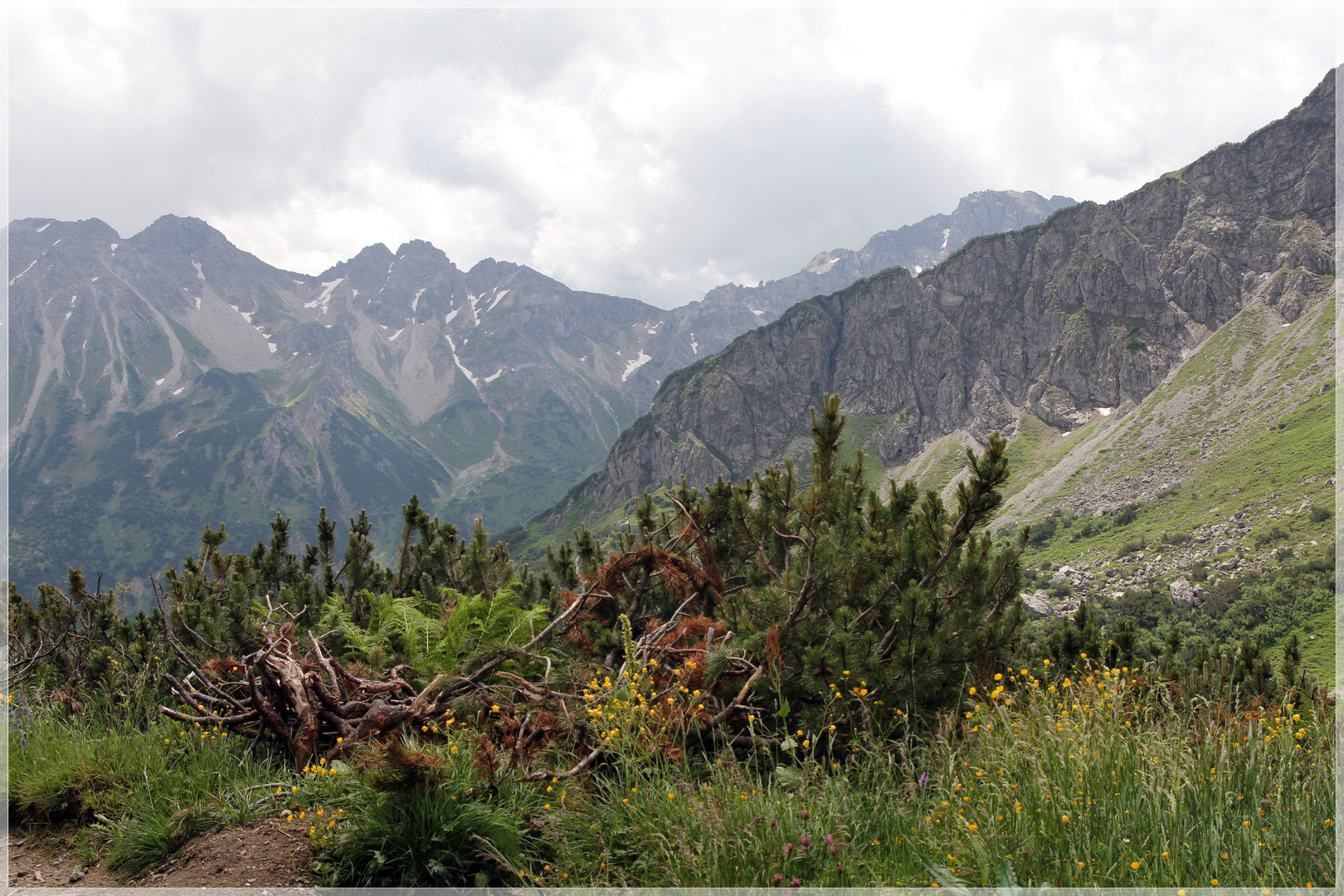 schöne Natur