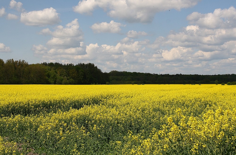 .... schöne Natur