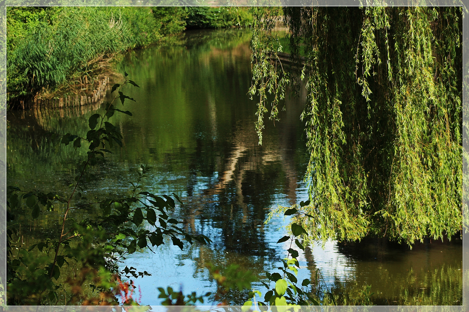 Schöne Natur im Wasser