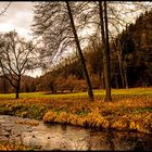 schöne Natur in  Triebischtal - Tanneberg