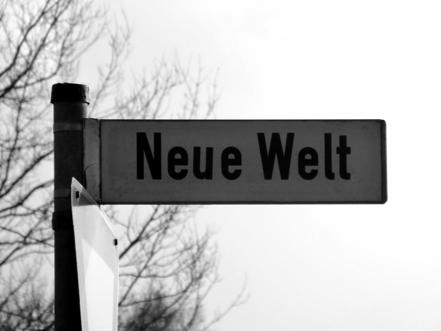 Schöne? Neue Welt