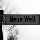 Schöne? Neue Welt