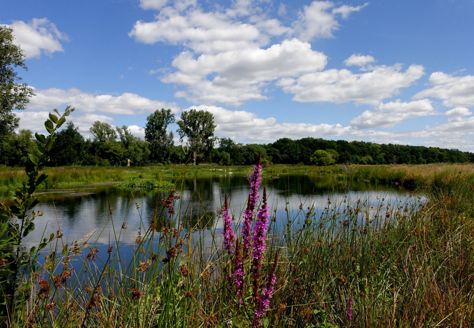 Schöne Niederrhein-Landschaft