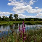 Schöne Niederrhein-Landschaft