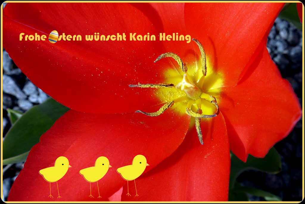 Schöne Osterfeiertage... Foto & Bild karten und kalender, osterkarten