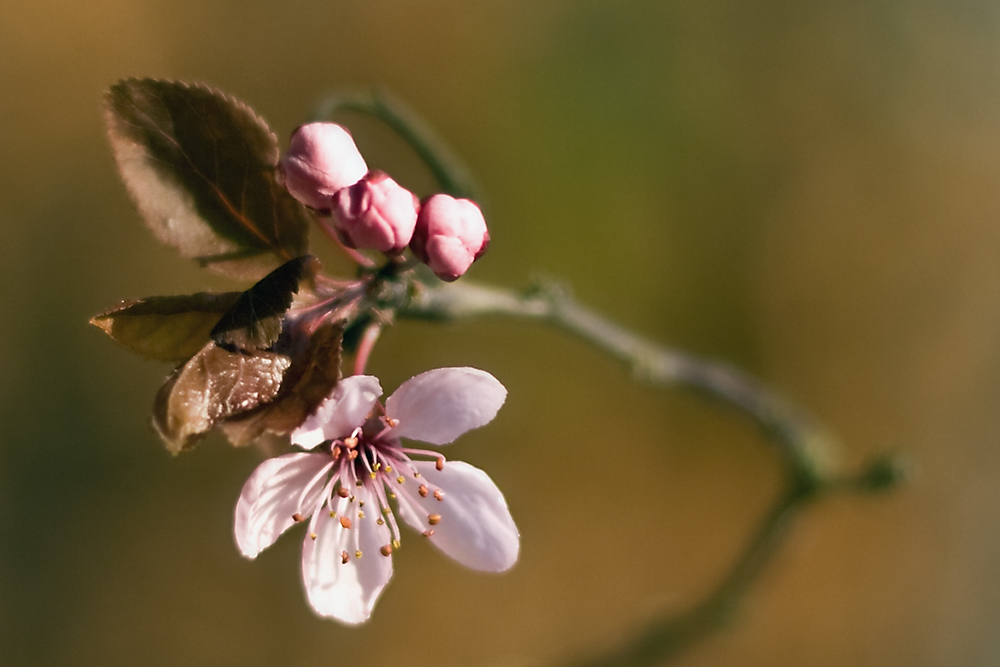 Schöne Ostern