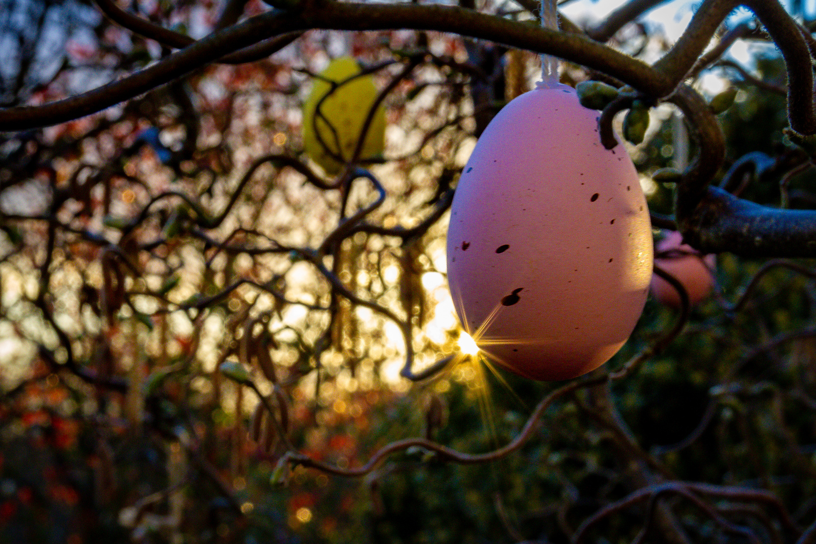 Schöne Ostern 