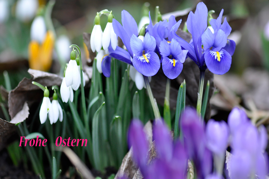 schöne ostern