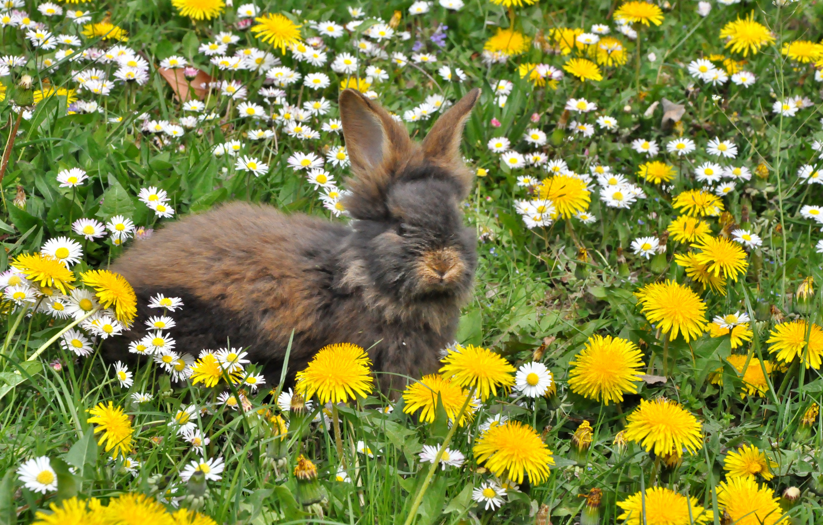 Schöne Ostern!