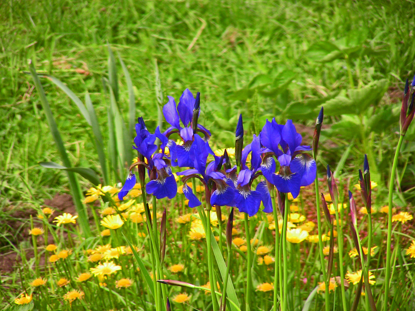 Schöne Ostern